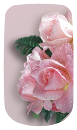 DAROYAL-064  Bouquet Of Roses Pink